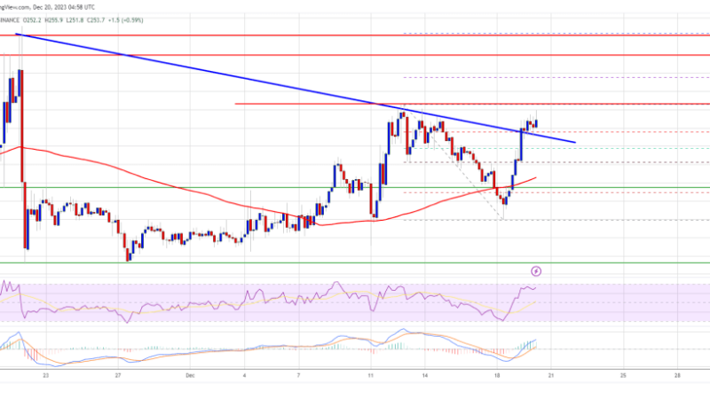 BNB Price Clears $250 and Could Rally 10% To Retest This Key Resistance