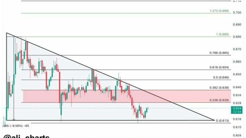 Crypto Analyst Forecasts Cardano Price Surge To $0.70 – Here’s How