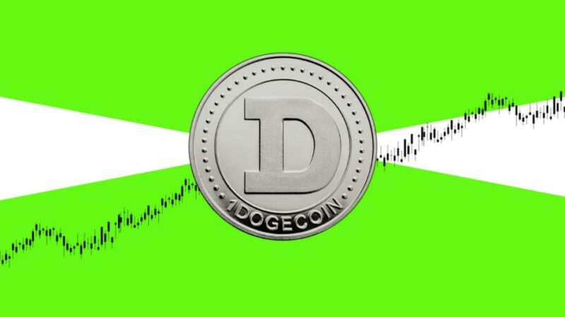 Dogecoin Aims For $0.2 As Profitable Addresses Hit 2-Year High! Here’s The Next Level For DOGE Price