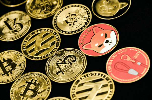 Dogecoin and Shiba Inu Price Outlook for 2024: Can Sponge V2 Outperform?