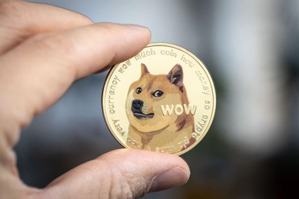 Dogecoin (DOGE) Price Outlook and Potential, Some Investors Eye Galaxy Fox as Presale Nears $1 Million
