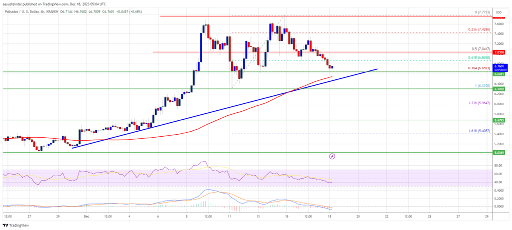 DOT Price (Polkadot) Holds Strong At $6.6, Signs Point To Fresh Rally Ahead