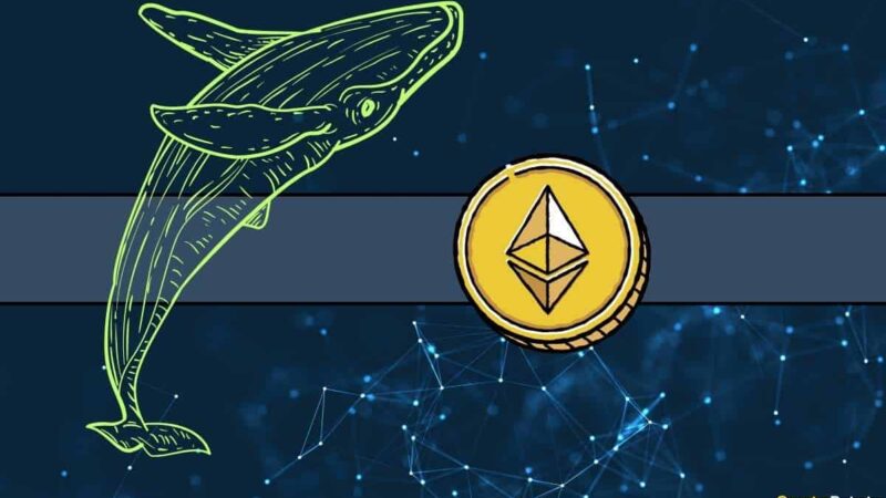 Ethereum Price in Danger? Dormant Whale Sparks Sell-Off Concerns After Moving $90M Worth of ETH to Kraken