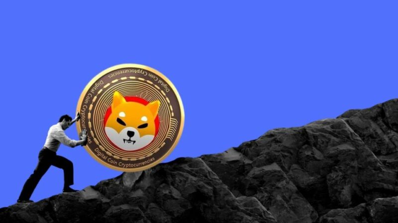 Shiba Inu Prepares For A Correction As This Indicator Signals Overvaluation! Here’s The Next Support For SHIB Price