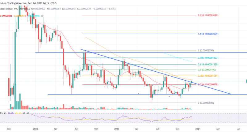 Shiba Inu Price Enters Most Crucial Week In 1.5 Years, Here’s Why