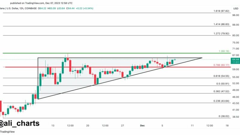 Solana Ascending Triangle Formation Anticipates Price Surge, $90 Target In Sight