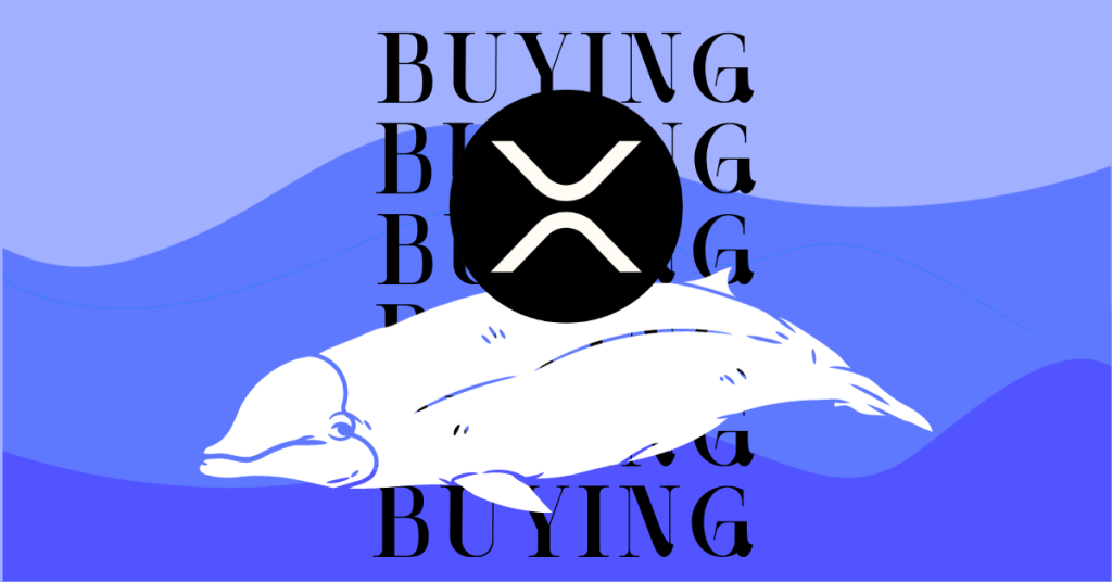 Big Move: Whale Transfers 80M $XRP Tokens Sparking Sell-Off Fears; $GFOX Rallies Above $2.8 Million