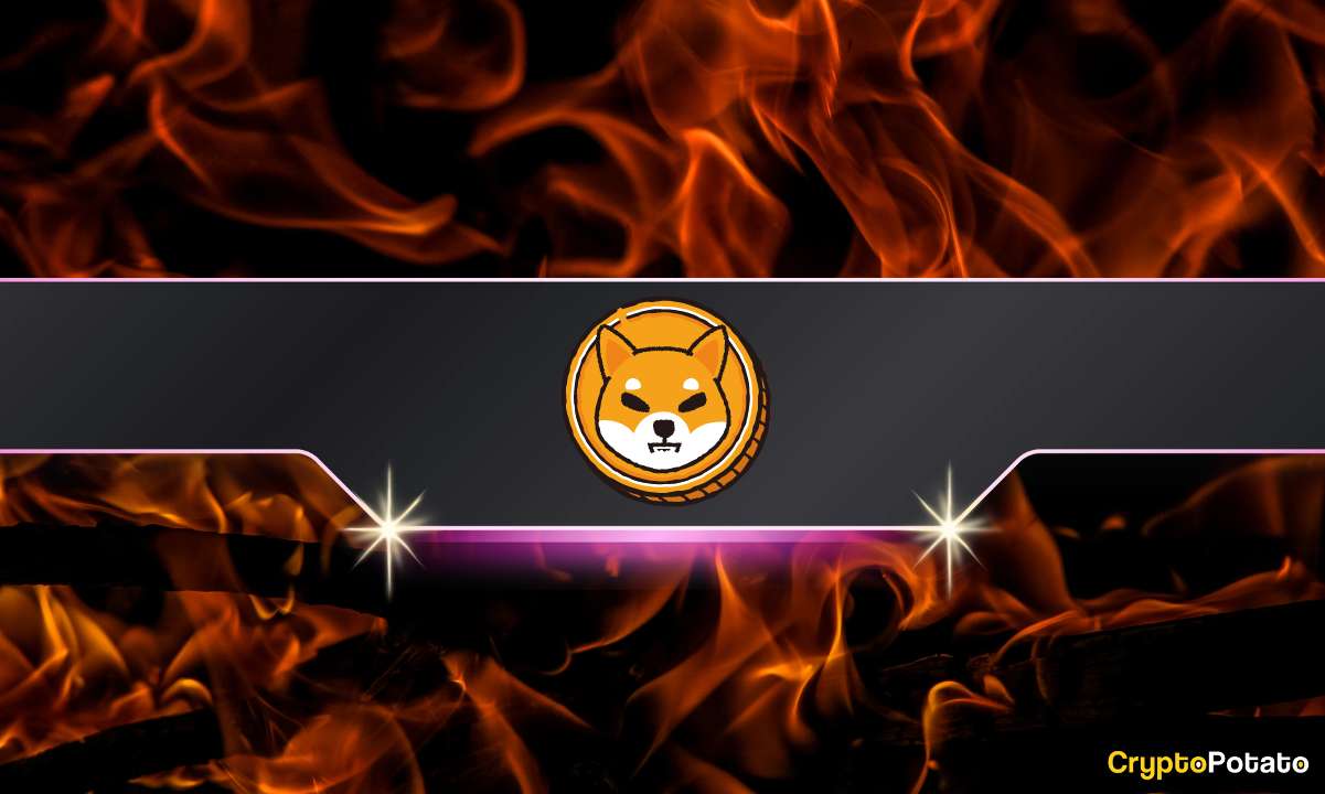 Big News for Shiba Inu (SHIB) Propel Burn Rate Over 4,000%: What You Need to Know