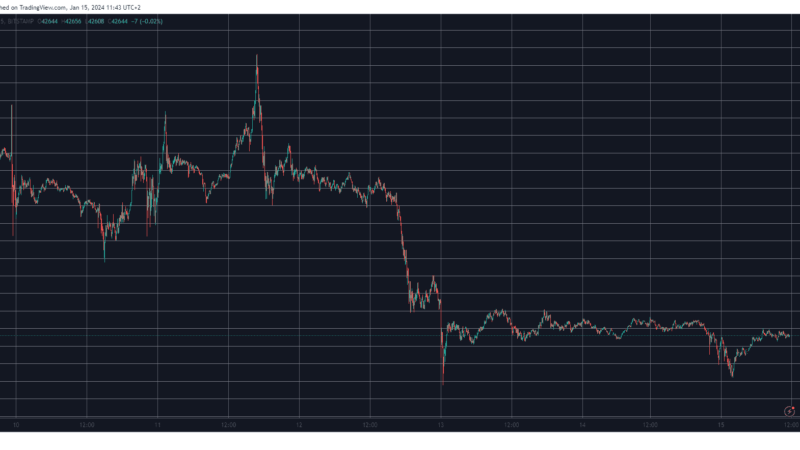 Bitcoin Falls Below $43K, Toncoin Soars by 10% Daily (Market Watch)