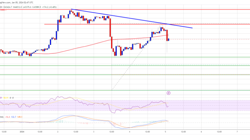 Bitcoin Price Faces Rejection, Here’s Why Dips Could Be Attractive