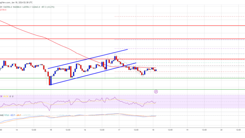 Bitcoin Price Faces Uphill Task, Risk of Additional Losses Below $42K Looms
