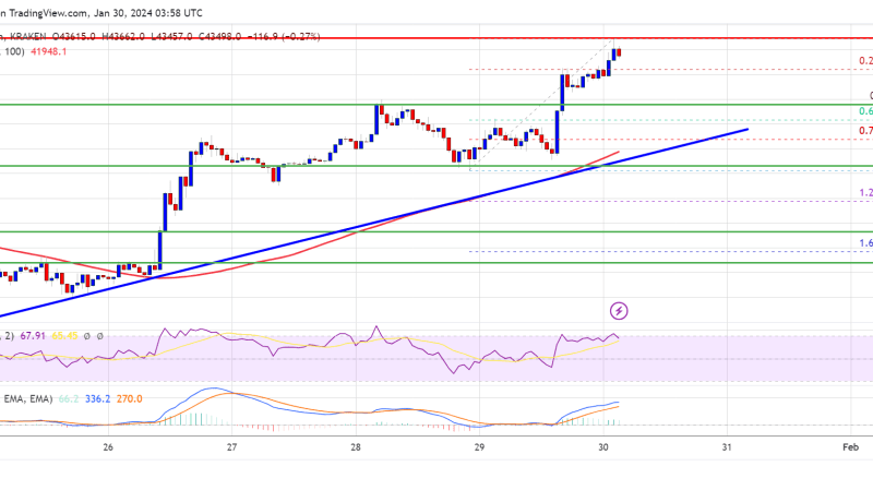 Bitcoin Price Regains Strength As The Bulls Aim For Retest of $45K