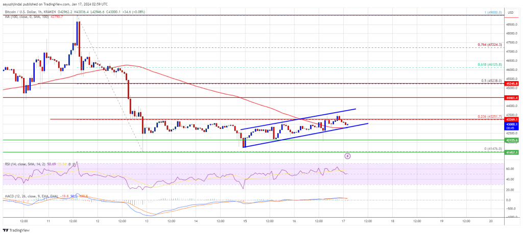 Bitcoin Price Signals Recovery But The Bears Are Not Out of Woods Yet