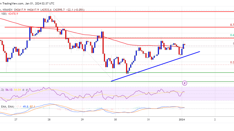 Bitcoin Price Starts 2024 In A Range, Can The Bulls Take Over?