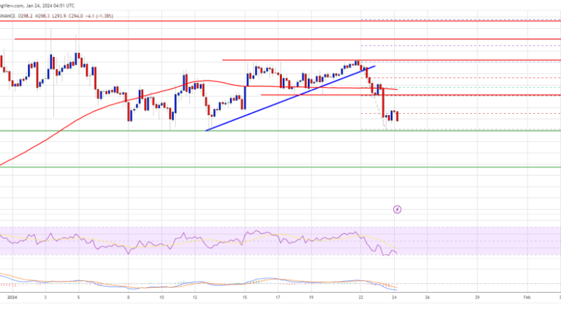 BNB Price Could See Major Drawdown If It Fails To Stay Above This Support
