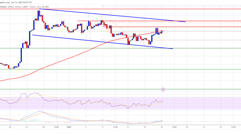 BNB Price Prediction – Why Bulls Could Aim Fresh Rally To $350