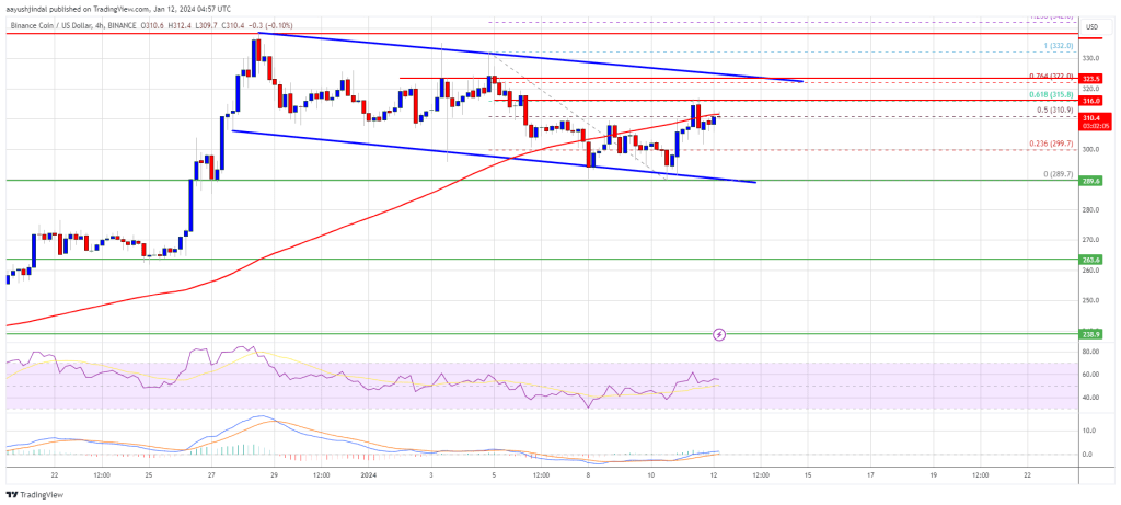 BNB Price Prediction – Why Bulls Could Aim Fresh Rally To $350