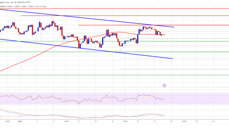 BNB Price Signals Bullish Exhaustion, Are Dips Attractive In Short-term?