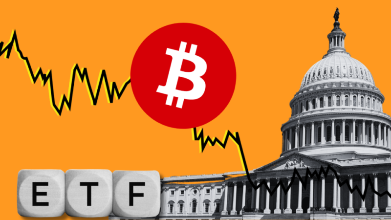 ETFs Dosen’t Make Bitcoin an Investment: Goldman Sachs Chief