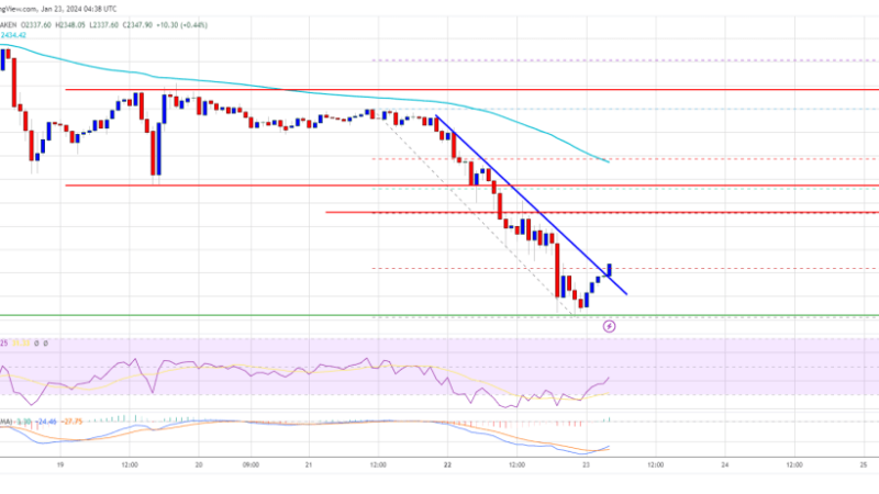 Ethereum Price Reaches Support, Can ETH Start A Steady Increase Again?