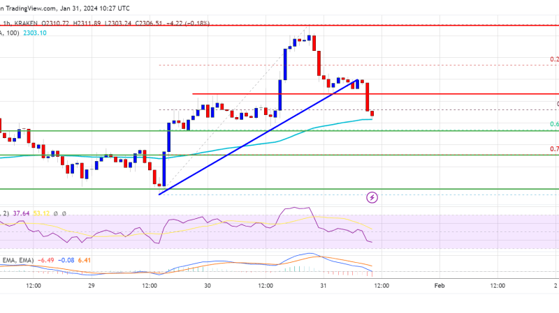 Ethereum Price Trims Gains But 100 SMA Could Trigger Fresh Increase