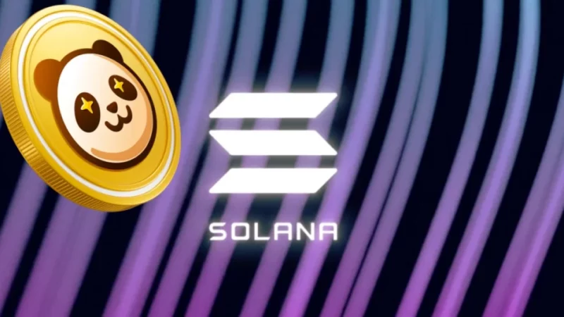 Experts Predict Pandoshi (PAMBO) as the Potential Successor to Solana (SOL)