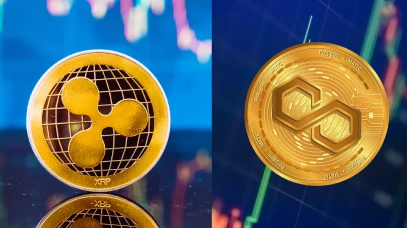 Kelexo (KLXO) Presale Now Live! Analyst Predicts Huge Gains For Early Investors Over XRP And Polygon