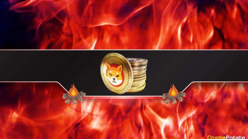 Massive Increase in the Shiba Inu (SHIB) Burn Rate amid Market Resurgence
