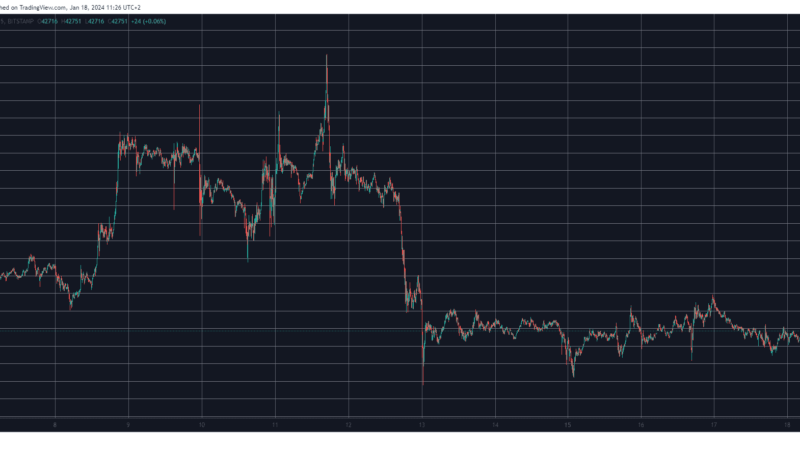 Post-ETF Approval Stagnation Continues as Bitcoin Price Fails to Overcome $43K (Market Watch)