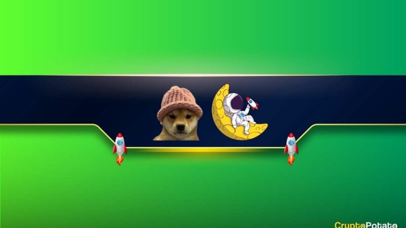 Solana Meme Coin WIF Hits ATH After 120% Weekly Surge: Possible Reasons