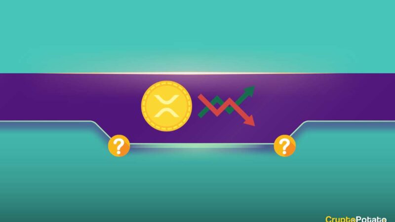 Will Ripple (XRP) Explode in 2024? The Most Interesting and Outrageous XRP Price Predictions