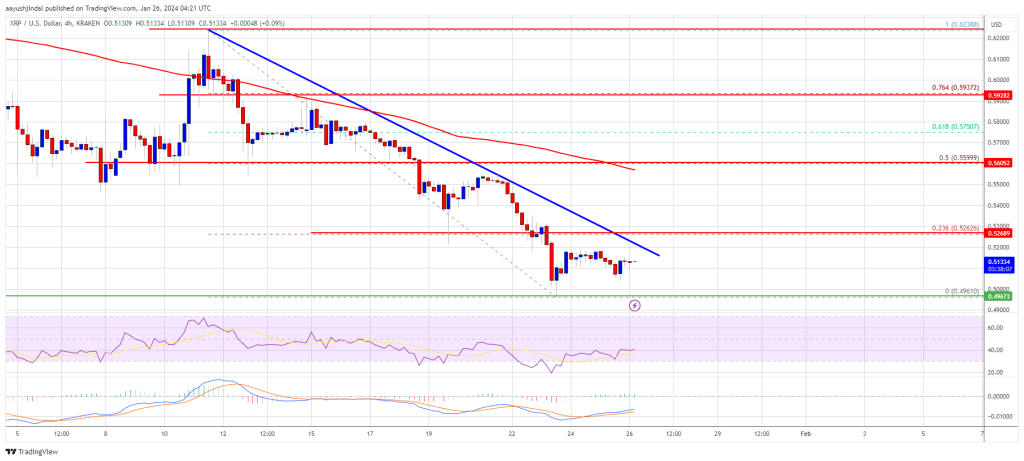 XRP Price Takes Hit, Can Buyers Save The Key $0.50 Support?