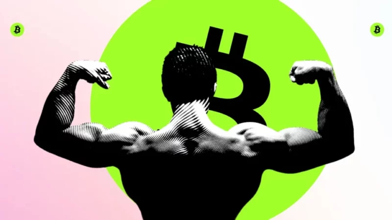 As Bitcoin Hits $64,000, Bulls Prep Moonshot in Bitcoin Cash And Litecoin!