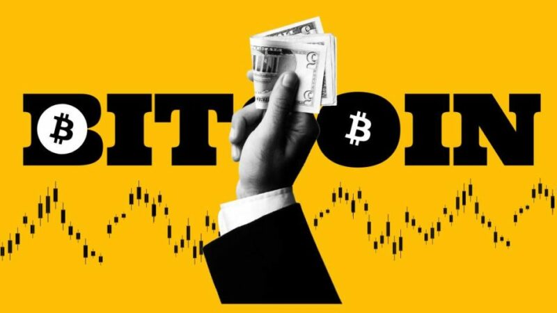 Bitcoin and Altcoin Prediction Ahead of Halving