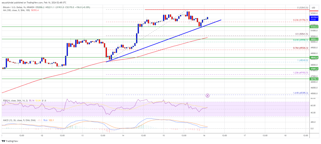 Bitcoin Price Hold Strong At $52K: Indicators Show Signs of More Upsides