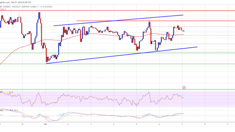 Bitcoin Price Reclaims 100 SMA But Can Bulls Clear This Hurdle