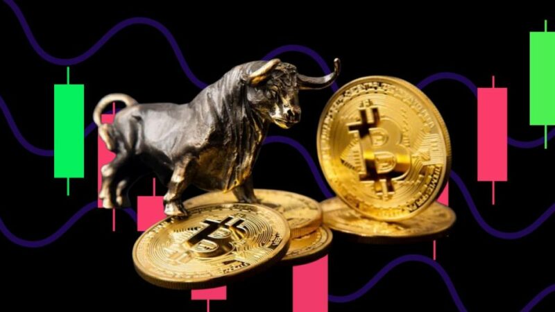 Bitcoin Price Smashes $57,000 Mark: Has the Bull Run Began?