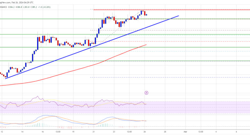 BNB Price Starts Its Journey Toward $500, Why Dips Turned Attractive
