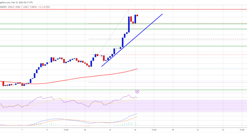 BNB Price Surges Over 5%, Why Bulls Could Aim For $400 In Feb 2024