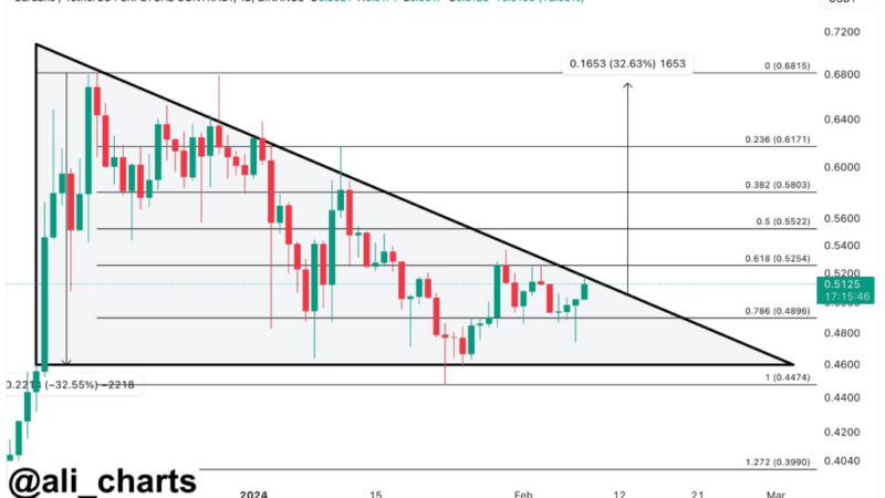 Cardano (ADA): Green Shoots Emerge – Is A 30% Price Growth Next?