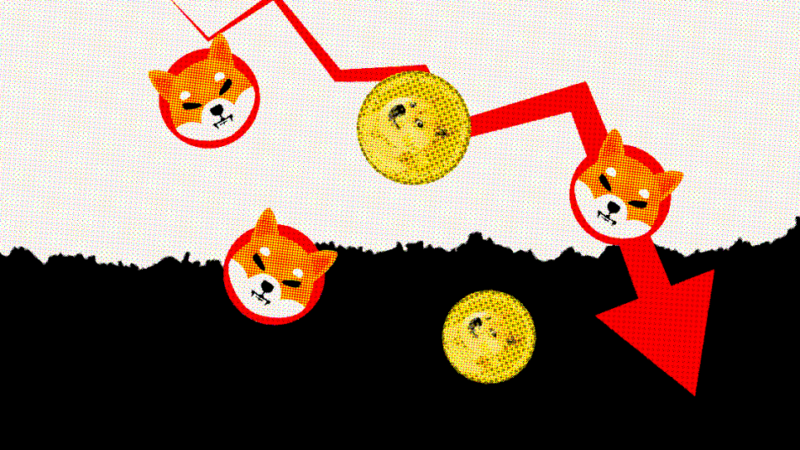 Dogecoin And Shiba Inu Face Rising Bearish Threats: Crucial On-Chain Metrics Indicate Next Price Levels For SHIB and DOGE