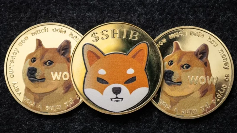 Dogecoin (DOGE) and Shiba Inu (SHIB), The Top Two Meme Coins Prepare For A Breakout Run!