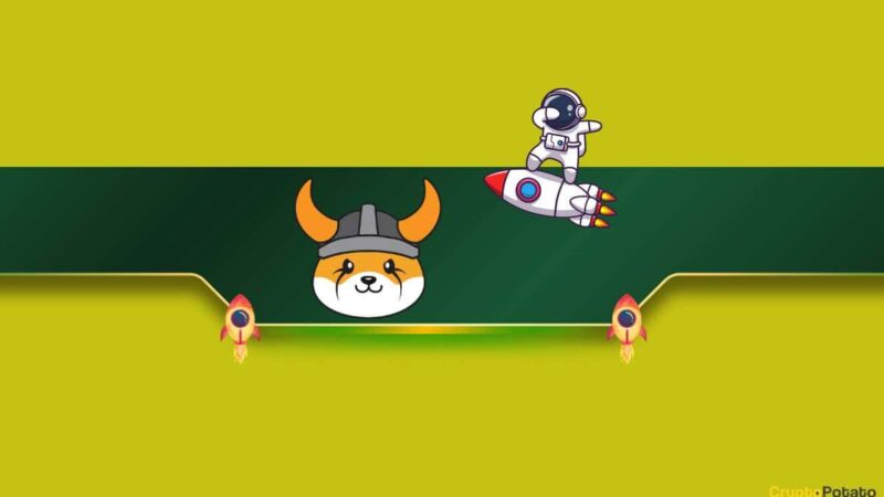 DWF Labs Will Buy a Whopping $10 Million of Popular Meme Coin, Price Goes Vertical