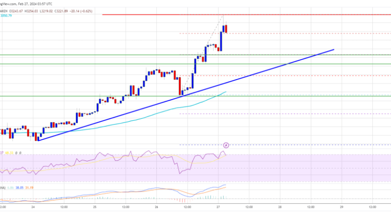 Ethereum Price Rally Stalls As Bitcoin Pumps But Bulls Are Not Done Yet