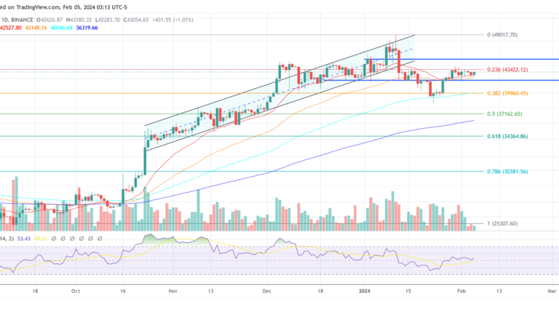 Why Is Bitcoin Price Not Going Up Despite The ETFs? Expert Explains