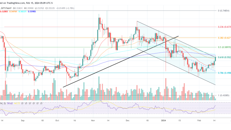 XRP Price Alert: Breakout Could Confirm Today