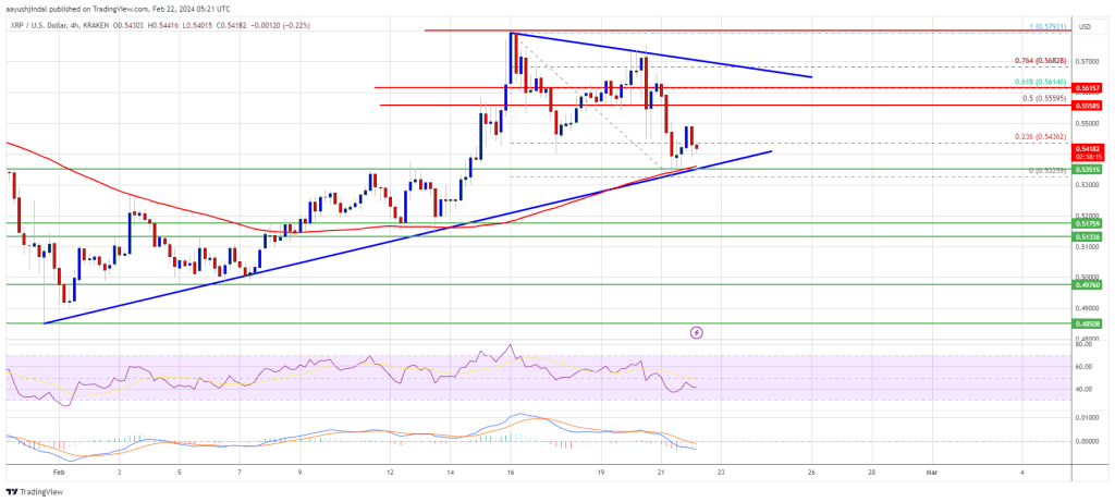 XRP Price Prediction: Bulls Take Hit But This Level Could Trigger Another Increase