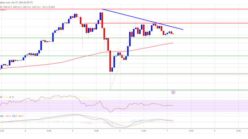 Bitcoin Price At Risk of Another Downside Thrust Before Higher