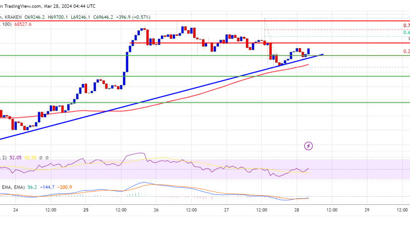 Bitcoin Price Faces Uphill Task But Indicators Signal More Upsides