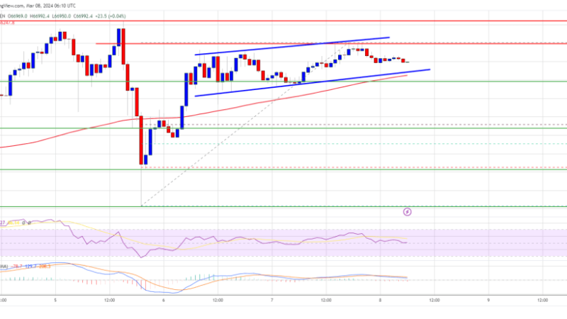 Bitcoin Price Reclaims 100 SMA But Momentum Seems To Be Fading
